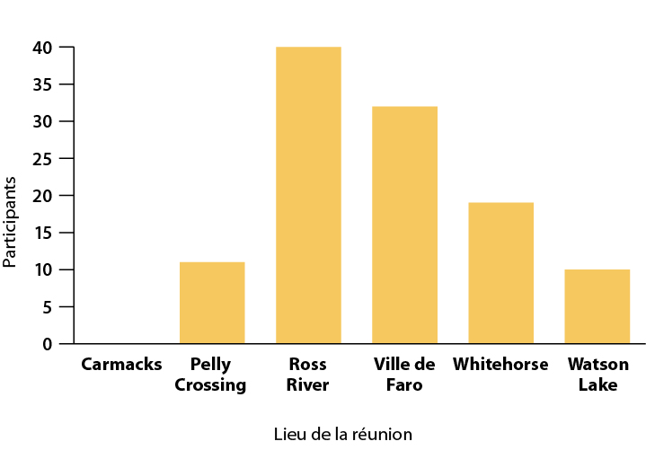 Figure 1 - Participants aux réunions communautaires