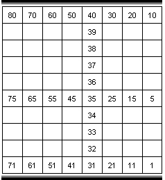 Image showing sample grid with 80 sections