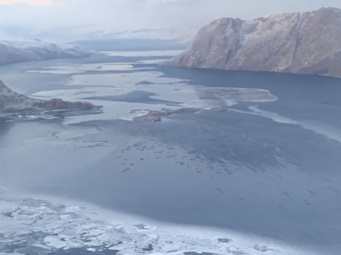 Wide aerial view of ice covered Arctic Ocean with mountains in the distance.