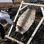 Leena stretching a seal skin on a frame.